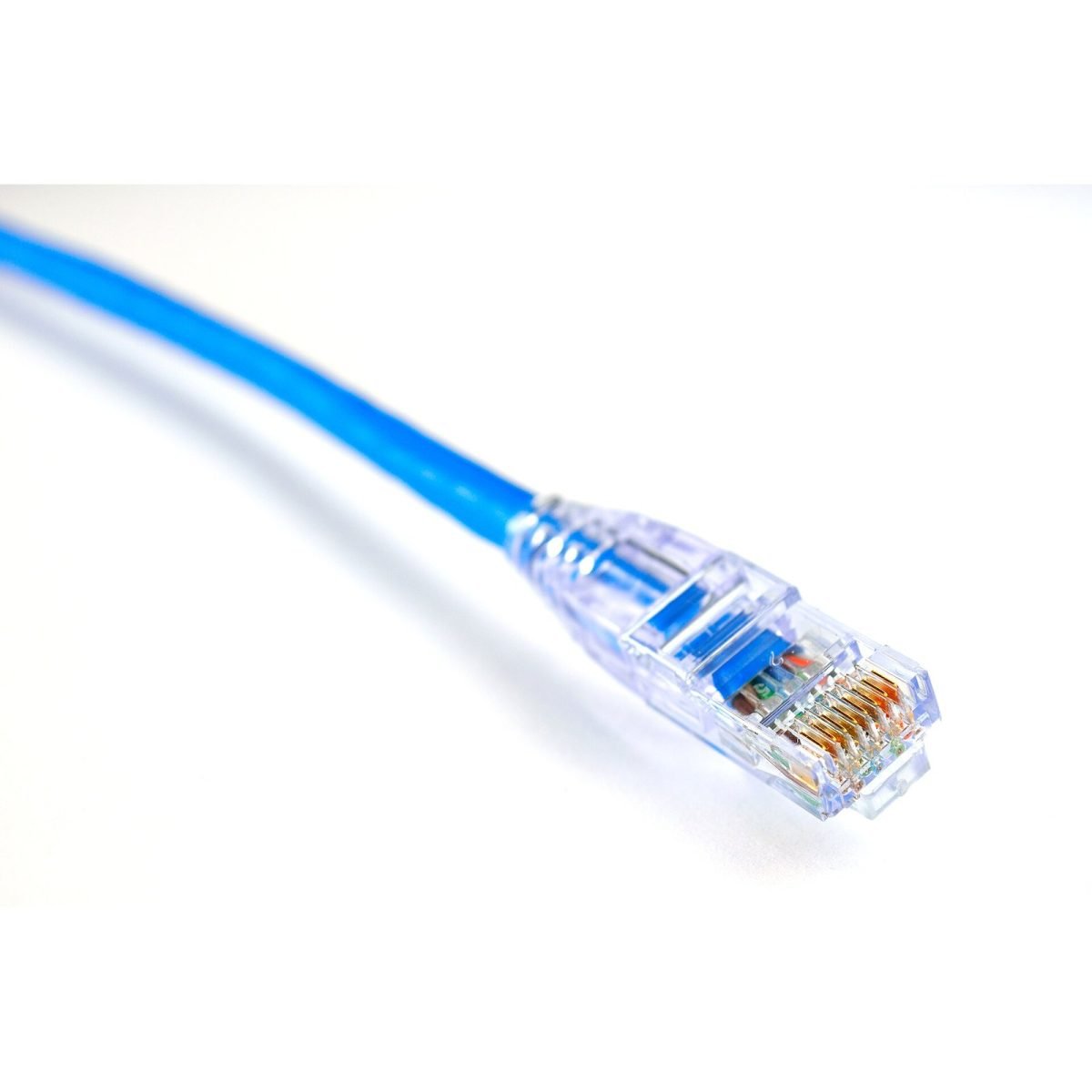 Kabllo rrjeti CAT6 U/UTP
